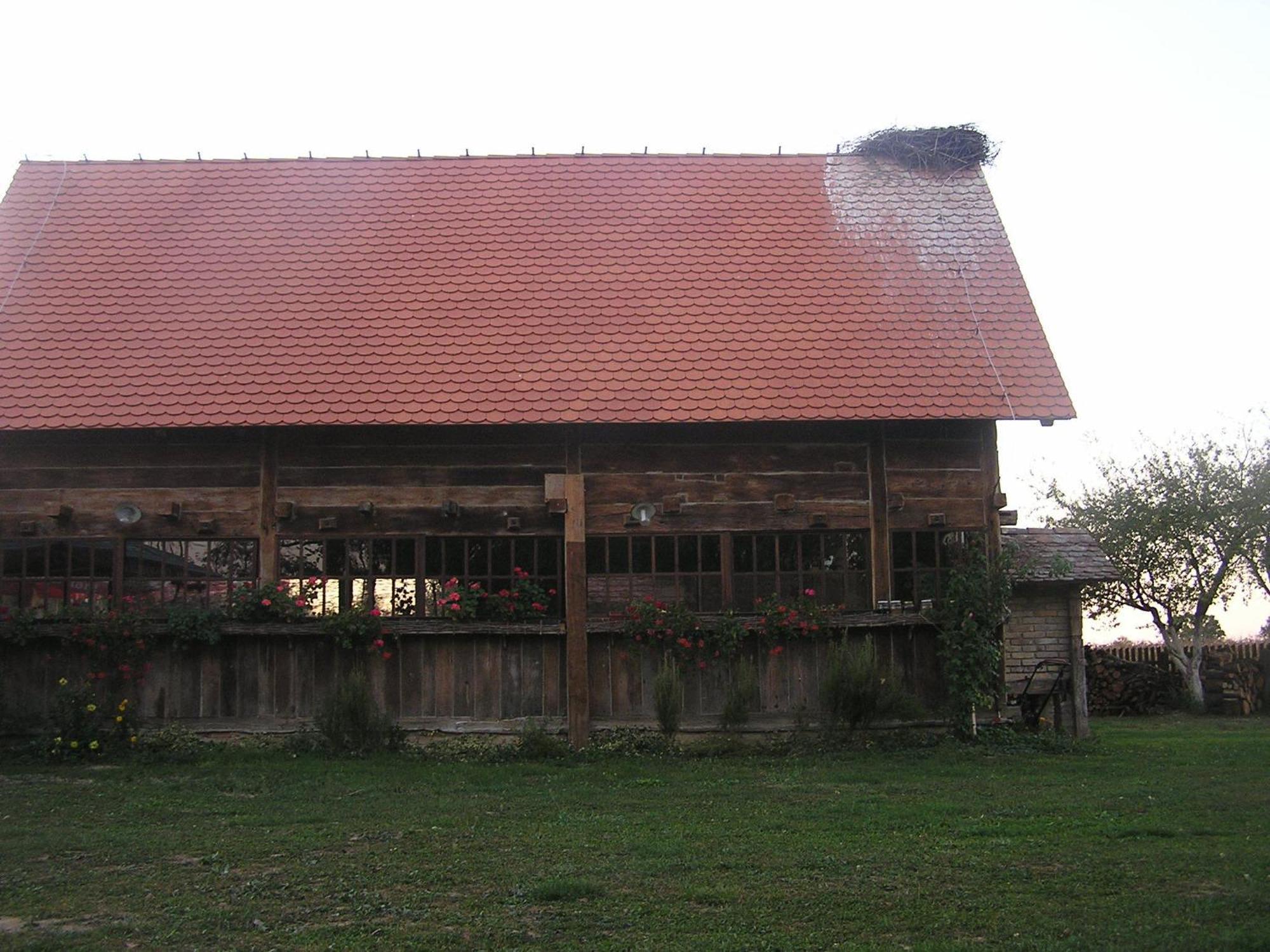 Hotel Tradicije Čigoč Exteriér fotografie