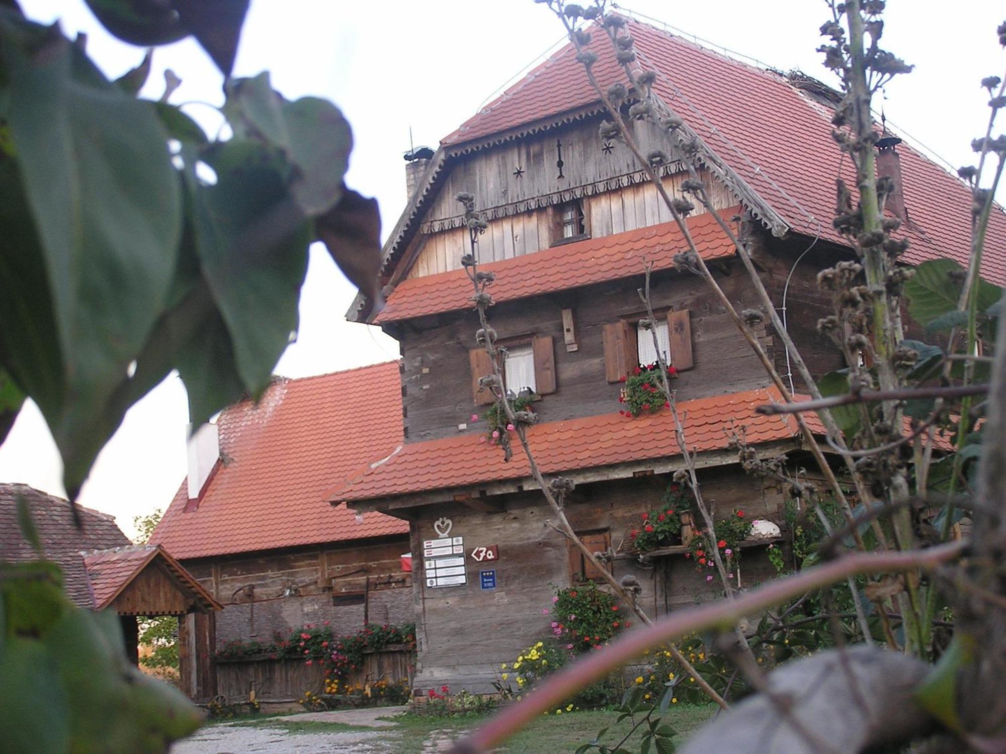 Hotel Tradicije Čigoč Exteriér fotografie